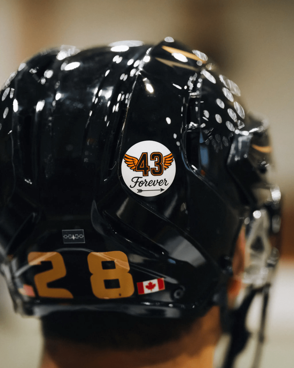 Zed Williams Begins His Knighthawks&nbsp;Journey